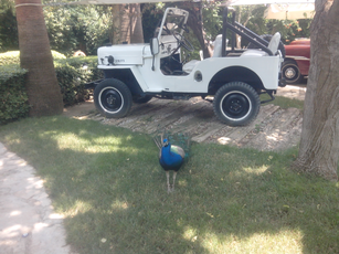 IMG_20140611_131209.jpg 2560x1920 index 122